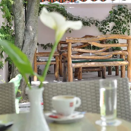 Theranda Boutique 3* 地拉那