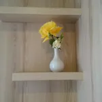 מלון Theranda Boutique טיראנה