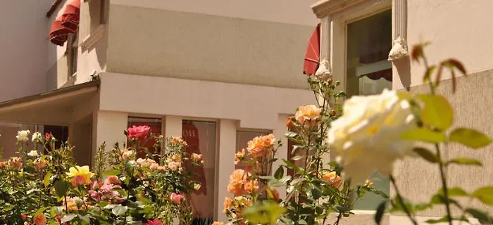 Theranda Boutique טיראנה